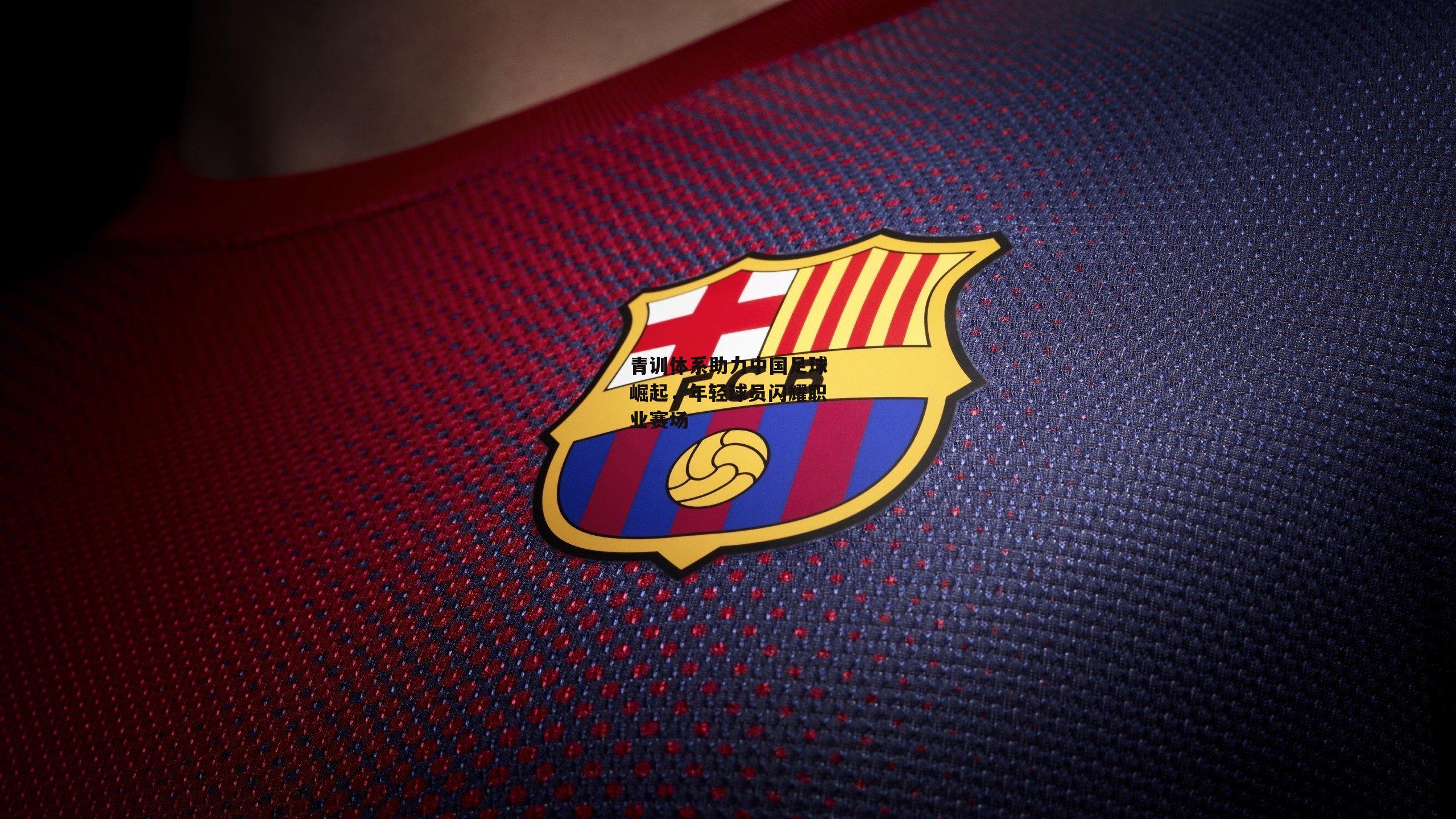 青训体系助力中国足球崛起，年轻球员闪耀职业赛场：中欧体育