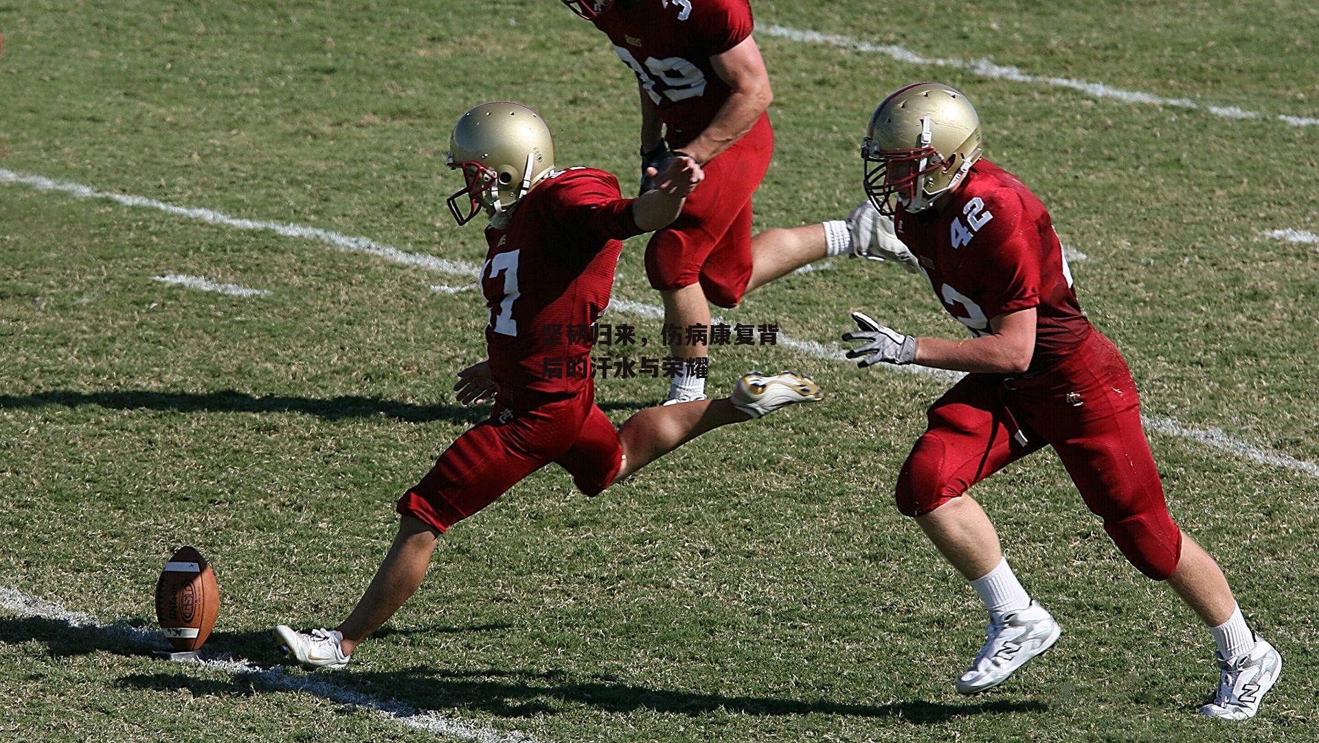 坚韧归来，伤病康复背后的汗水与荣耀