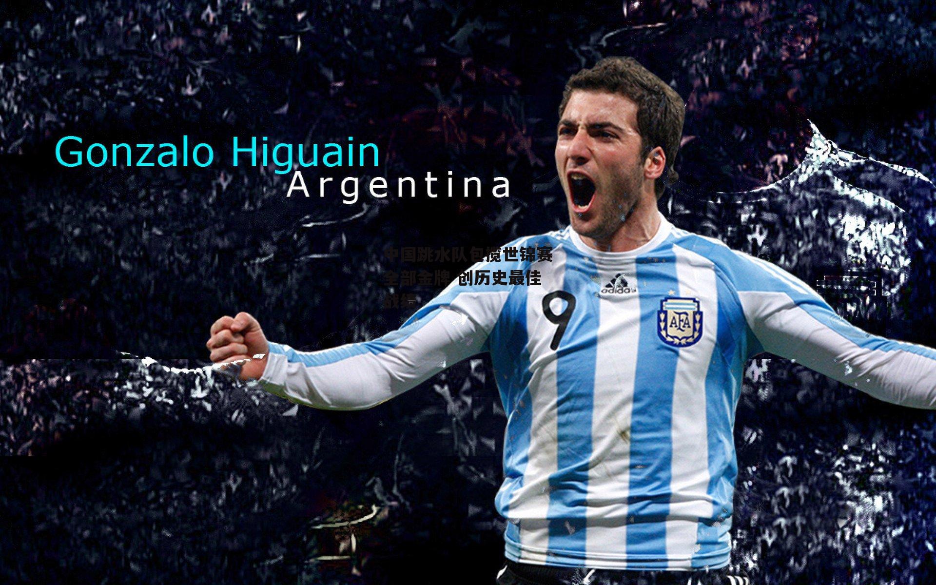 中国跳水队包揽世锦赛全部金牌 创历史最佳战绩